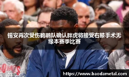 锡安再次受伤鹈鹕队确认胖虎将接受右膝手术无缘本赛季比赛