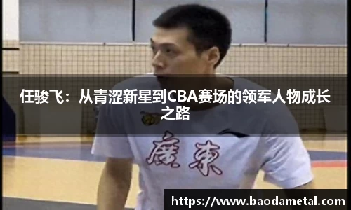 任骏飞：从青涩新星到CBA赛场的领军人物成长之路